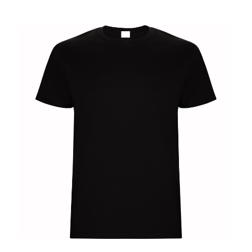 CAMISETA 2